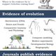 Image for article titled Top five misconceptions about evolution according to science